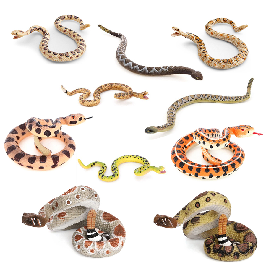 Modèle réaliste de serpent à s - Kids Toys Under $10 avis et prix